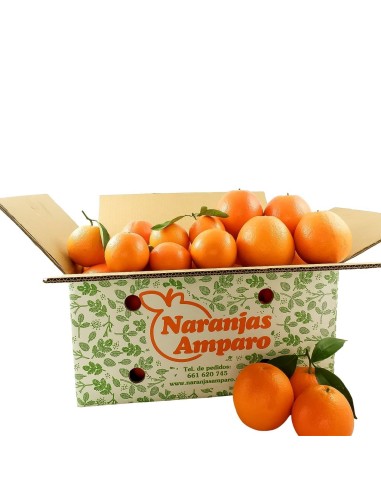 Naranjas Navel de Zumo y Mesa