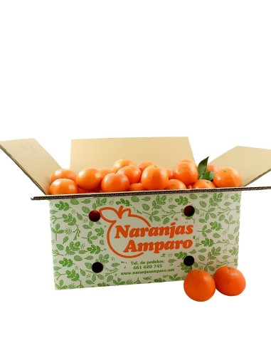 Mandarin Clementine Table