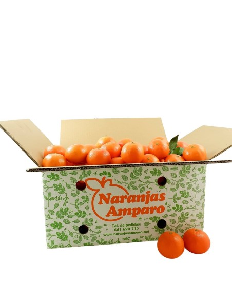 Mandarina clementina de Mesa