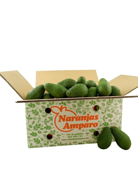 Small Avocados from Spain: Delicious and Petite Fruits