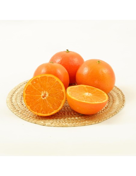 Caja Degustación Naranjas, Mandarinas, Aguacates y Limones