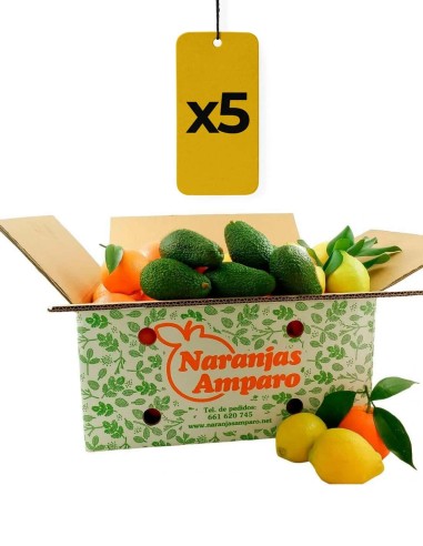 Aguacates, naranjas y limones. 5 cajas degustación.