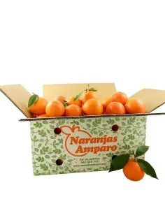 Naranja calibre pequeño - extra