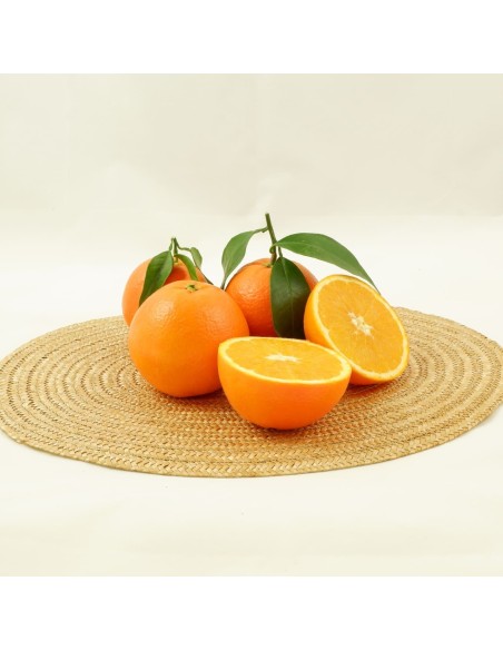 Las naranjas para zumo de Amparo