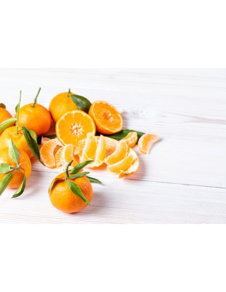 2x1 en Naranjas y Mandarinas - ¡Recibe 12kg al precio de 6kg!