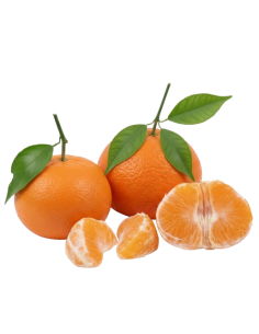 Mandarinas Clementina de mesa, ideales para comer