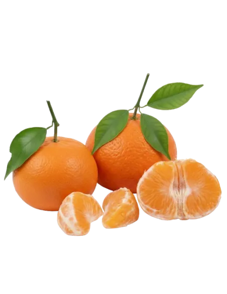 Mandarin Clementine: Fresh Fruit for Your Table