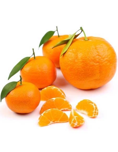 Mandarina Baby, la peque de la familia