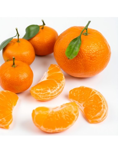 Mandarina Baby, la peque de la familia