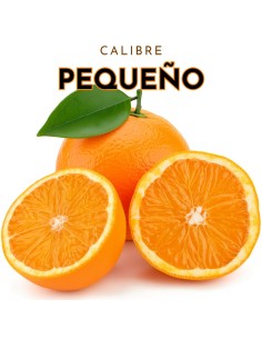 Small Size Navel Oranges - Fresh Citrus Fruit