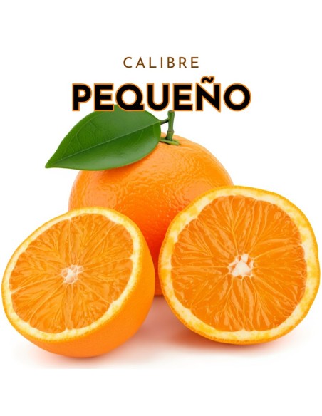 Naranjas Calibre Pequeño: Frescas y Sabrosas