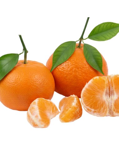 Mandarines Clementina de taula, ideals per a menjar