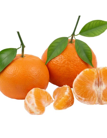 Mandarines Clementina de taula, ideals per a menjar