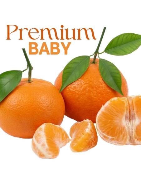 Premium Small-Sized Mandarins - Delicious and Convenient
