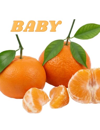 Mandarin Clementine Baby