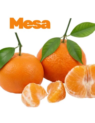 Mandarin Clementine: Fresh Fruit for Your Table