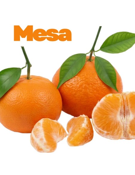 Mandarin Clementine: Fresh Fruit for Your Table