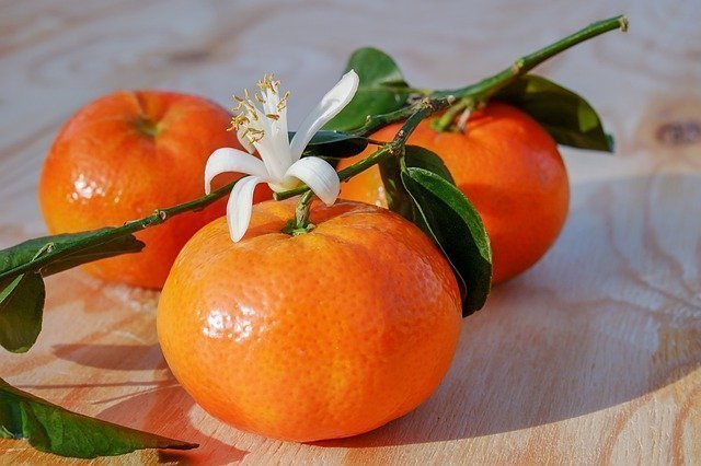 diferencia entre mandarina y clementina