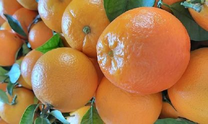 naranjas y diabetes