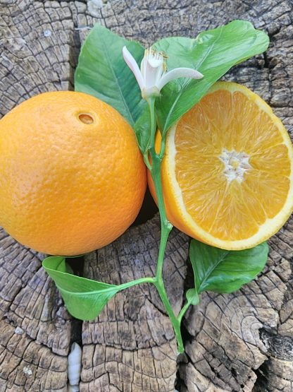 beneficios de las naranjas