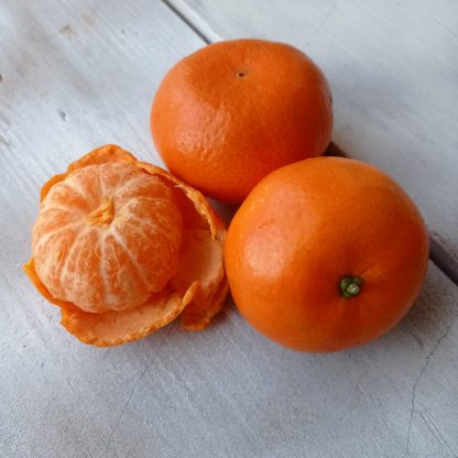 mandarina nadorcott o afourer
