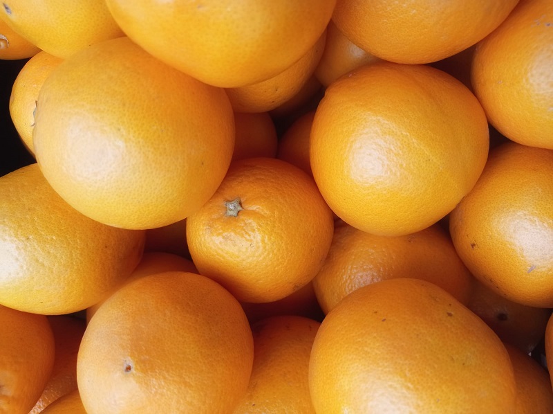 Comprar naranjas directamente al agricultor