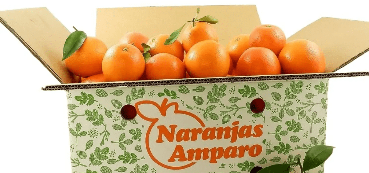 Navel lane late narnajas amparo