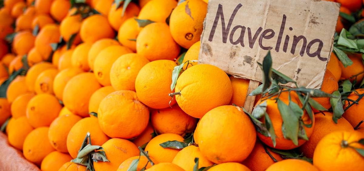 Donde comprar naranjas valencianas al agricultor
