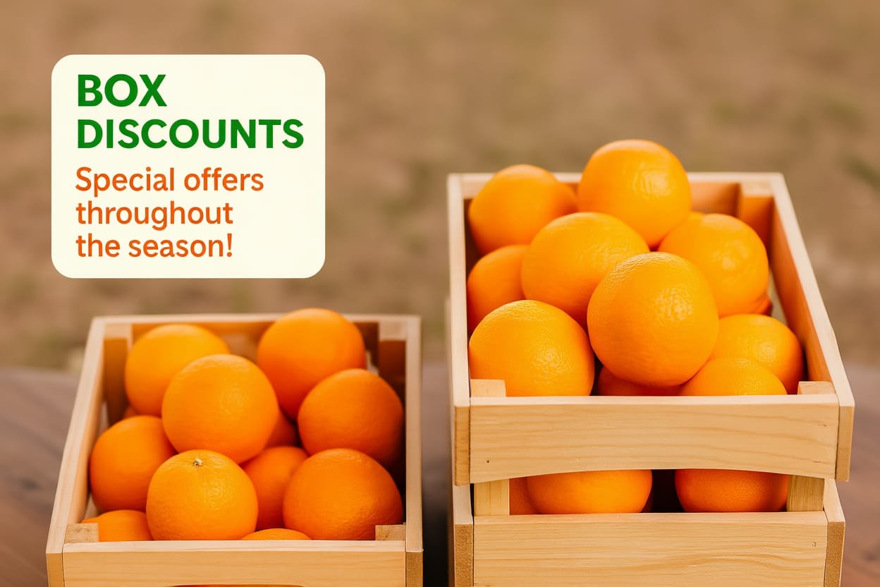 Boxes of freshly harvested oranges and clementines
