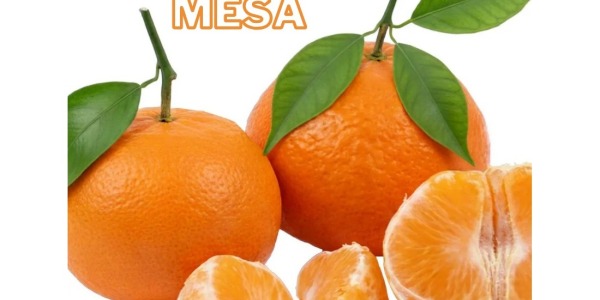 Ensaladas con mandarina: 5 recetas fáciles y aliños