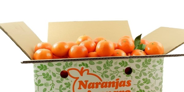 Temporada de mandarinas en España: calendario por meses
